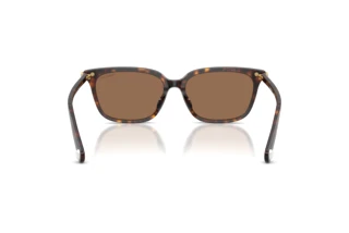 Bagside Swarovski SK6064D (100273)