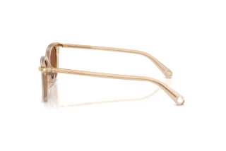 Sidevisning Swarovski SK6064D (1034OK)