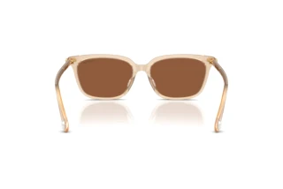 Bagside Swarovski SK6064D (1034OK)