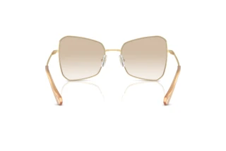 Bagside Swarovski SK7008 (401311)