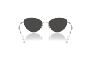 Bagside Swarovski SK7014 (400187)