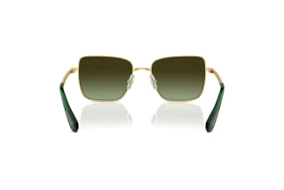 Bagside Swarovski SK7015 (4004E8)