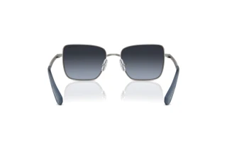 Bagside Swarovski SK7015 (40094U)