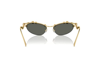 Bagside Swarovski SK7016 (40047P)