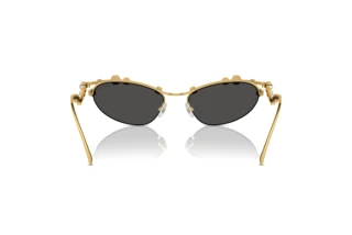 Bagside Swarovski SK7016 (400487)