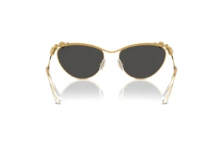 Bagside Swarovski SK7017 (400487)