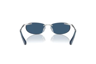 Bagside Swarovski SK7019 (402555)