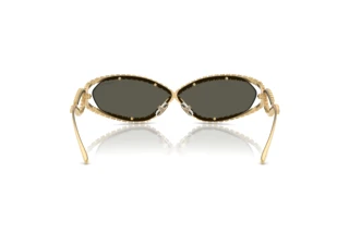 Bagside Swarovski SK7024 (40047P)