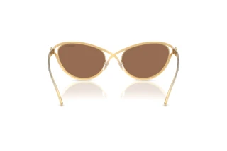 Bagside Swarovski SK7025 (400473)