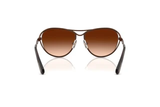 Bagside Swarovski SK7028 (400274)