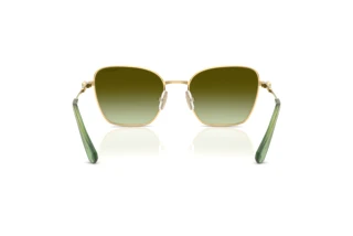 Bagside Swarovski SK7029 (4004E8)