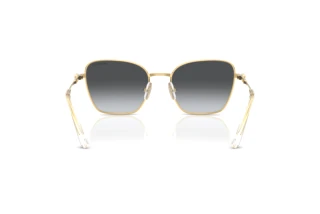 Bagside Swarovski SK7029 (4004T3)