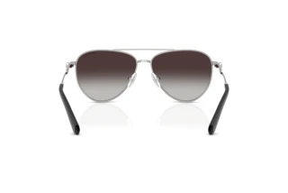 Bagside Swarovski SK7031 (40018G)