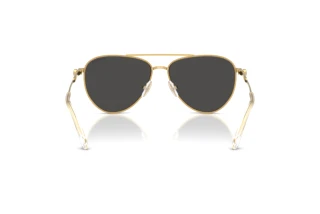 Bagside Swarovski SK7031 (400487)