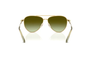 Bagside Swarovski SK7031 (4017E8)