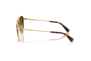 Sidevisning Swarovski SK7031 (4037T5)