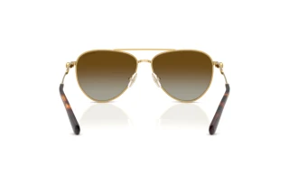 Bagside Swarovski SK7031 (4037T5)