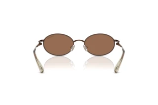 Bagside Swarovski SK7033 (400273)