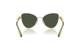 Bagside Swarovski SK7034 (404G82)