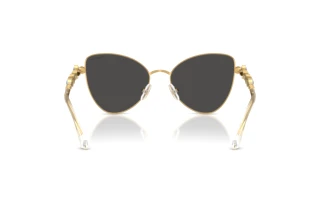 Bagside Swarovski SK7034 (404M87)