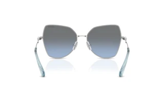 Bagside Swarovski SK7037 (40018F)