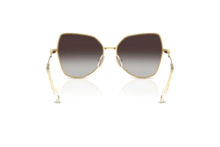 Bagside Swarovski SK7037 (40048G)