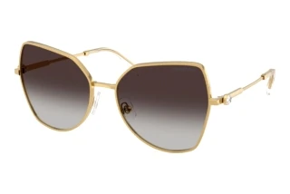 Forfra Swarovski SK7037 (40048G)