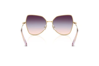 Bagside Swarovski SK7037 (4036U7)