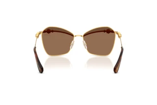 Bagside Swarovski SK7040 (4007TO)