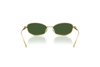 Bagside Swarovski SK7042 (400471)