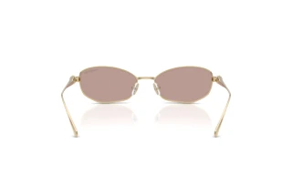 Bagside Swarovski SK7042 (40137N)