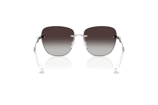 Bagside Swarovski SK7043 (40018G)