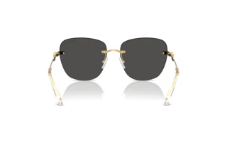 Bagside Swarovski SK7043 (400487)