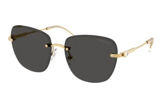 Forfra Swarovski SK7043 (400487)