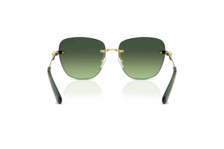 Bagside Swarovski SK7043 (40172A)