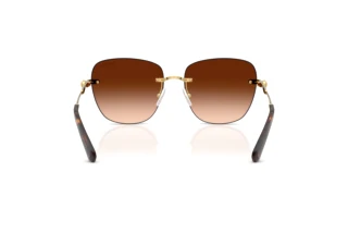 Bagside Swarovski SK7043 (403774)