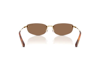 Bagside Swarovski SK7045D (400473)