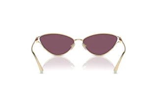 Bagside Tiffany TF3095 (6194AK)