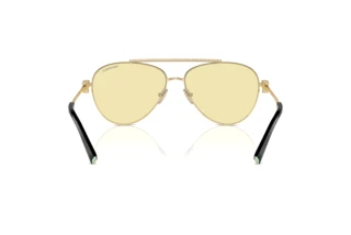 Bagside Tiffany TF3101B (6210M4)