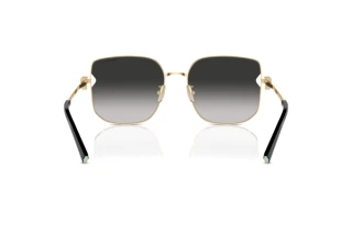 Bagside Tiffany TF3105D (6021S4)