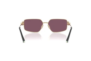 Bagside Tiffany TF3111 (6194AK)