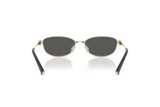 Bagside Tiffany TF3115 (6021S4)