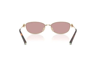 Bagside Tiffany TF3115 (6189VS)