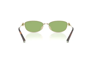 Bagside Tiffany TF3115 (6229/2)