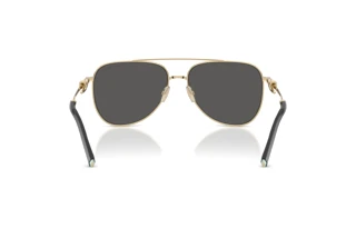 Bagside Tiffany TF3116 (6021S4)