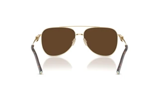 Bagside Tiffany TF3116 (61933G)