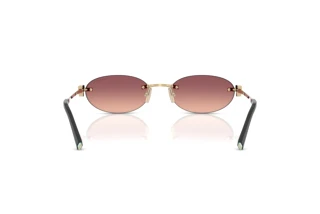 Bagside Tiffany TF3119D (62408D)