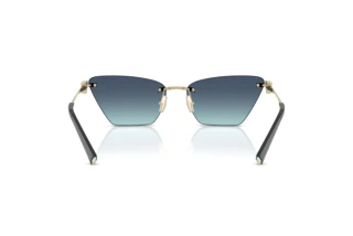 Bagside Tiffany TF3120 (60219S)