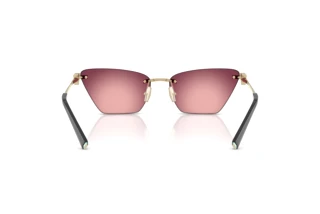 Bagside Tiffany TF3120 (62428H)