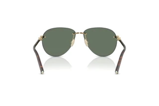 Bagside Tiffany TF3124 (60213H)